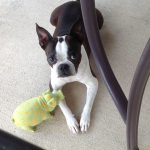 Meet your Posher, Laura